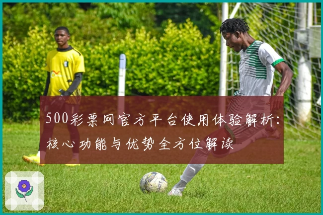 500彩票网官方平台使用体验解析：核心功能与优势全方位解读